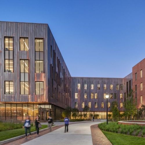 Connecticut Universiteti